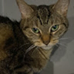 Meet your Posher, Estefani